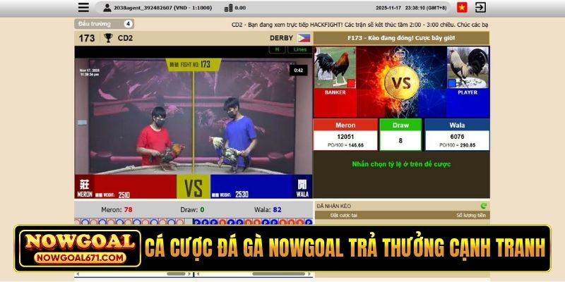 Cá cược đá gà Nowgoal trả thưởng cạnh tranh